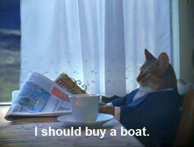 Cat reading a newspaper and drinking coffee captioned "I should buy a boat"